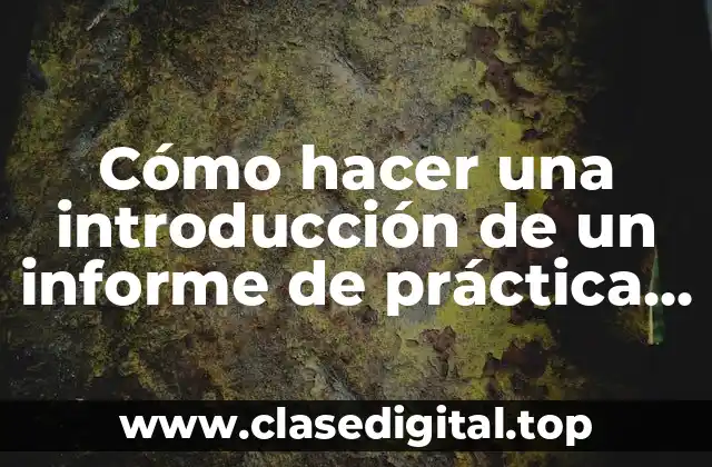 Cómo hacer una introducción de un informe de práctica profesional