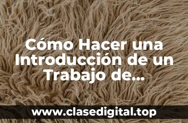 Cómo Hacer una Introducción de un Trabajo de Investigación Ejemplos
