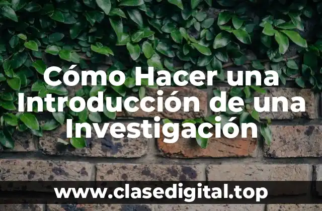 Cómo Hacer una Introducción de una Investigación