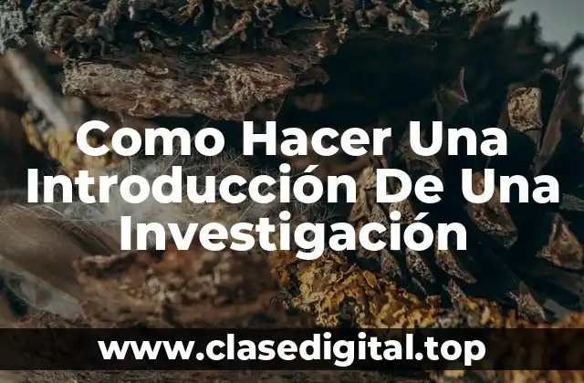 Ejemplos de introducciones para una investigación