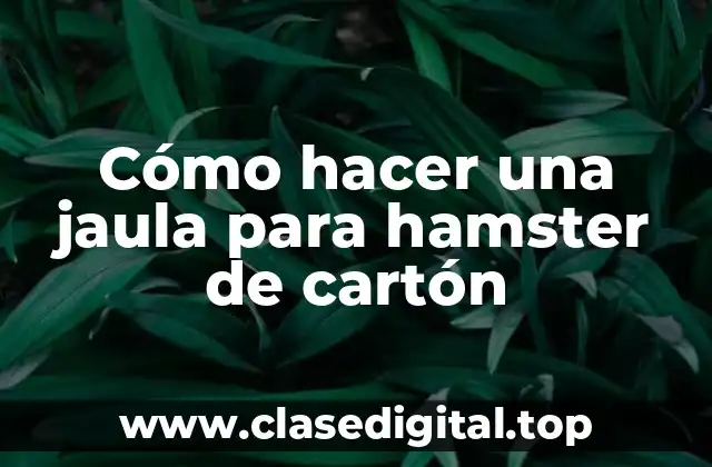 Cómo hacer una jaula para hamster de cartón