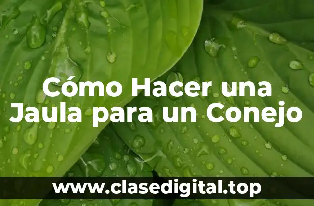 Cómo Hacer una Jaula para un Conejo