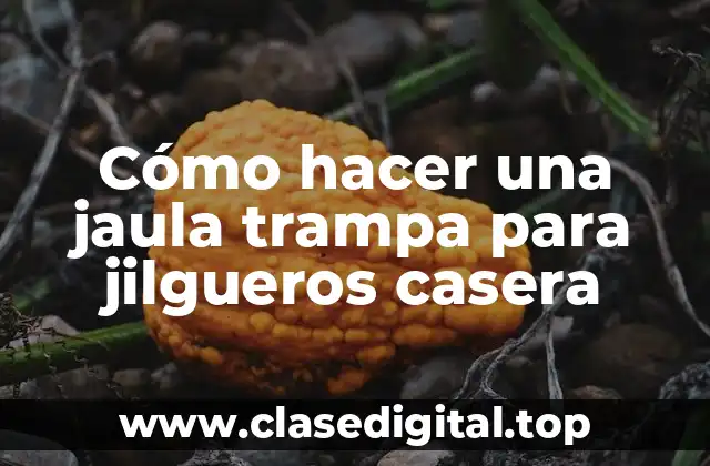 Cómo hacer una jaula trampa para jilgueros casera