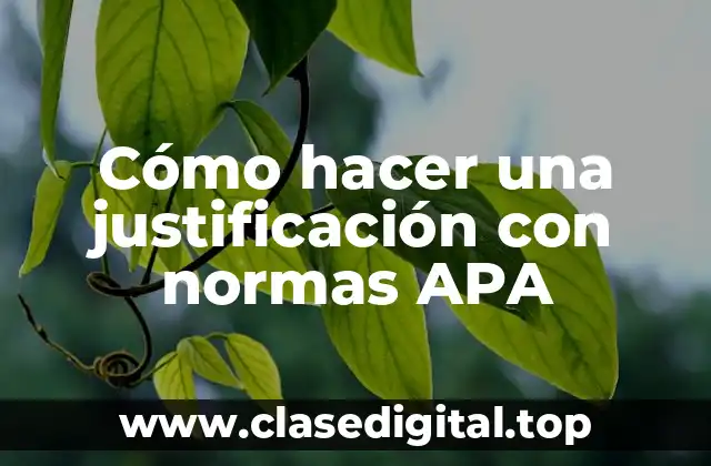 Cómo hacer una justificación con normas APA