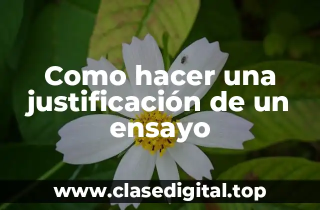 Como hacer una justificación de un ensayo