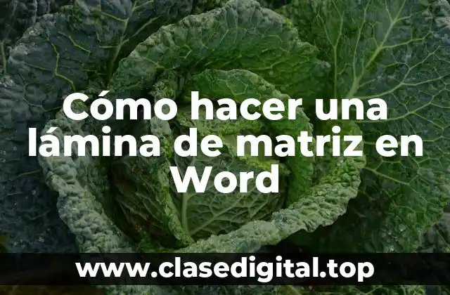 Cómo hacer una lámina de matriz en Word
