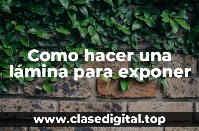 Lámina para exponer