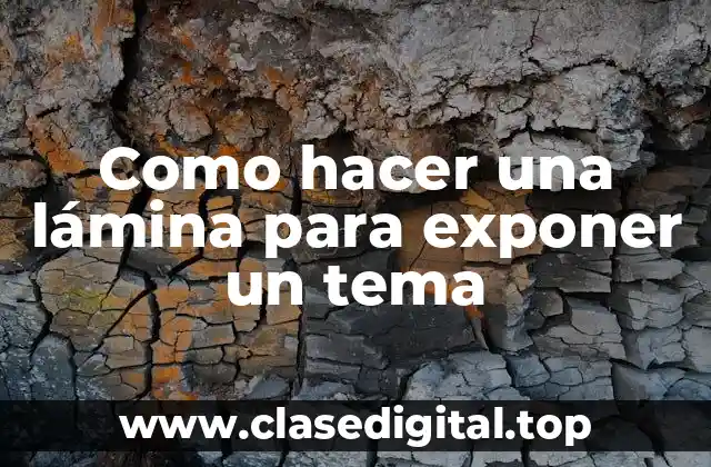 Como hacer una lámina para exponer un tema