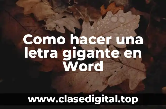 Como hacer una letra gigante en Word