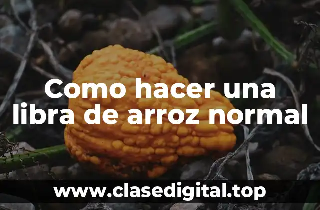¿Qué es el arroz normal y cómo se utiliza?
