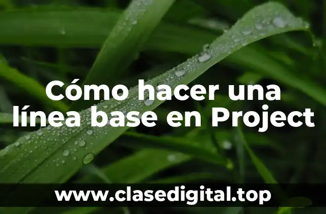¿Qué es una línea base en Project?