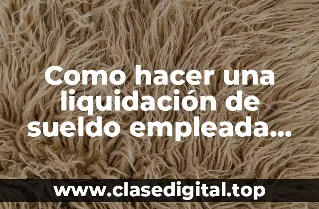 Como hacer una liquidación de sueldo empleada domestica