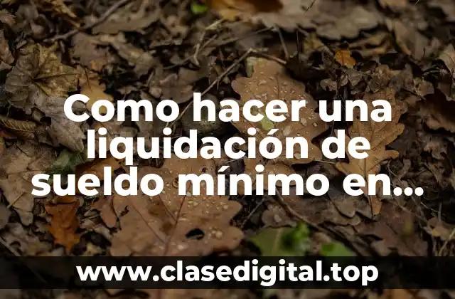 ¿Qué es la liquidación de sueldo mínimo en Chile?
