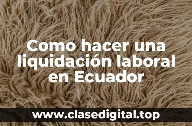 Como hacer una liquidación laboral en Ecuador