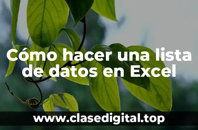 Cómo hacer una lista de datos en Excel