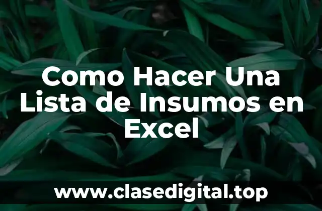 Como Hacer Una Lista de Insumos en Excel