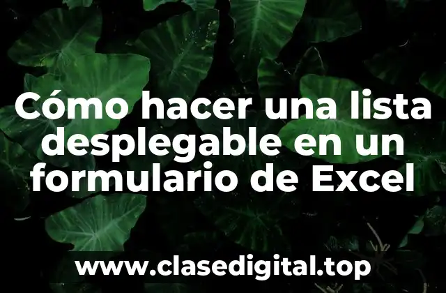 Cómo hacer una lista desplegable en un formulario de Excel