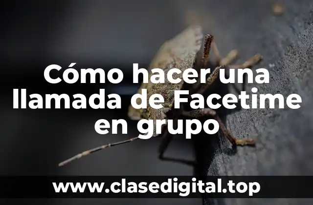 Cómo hacer una llamada de Facetime en grupo