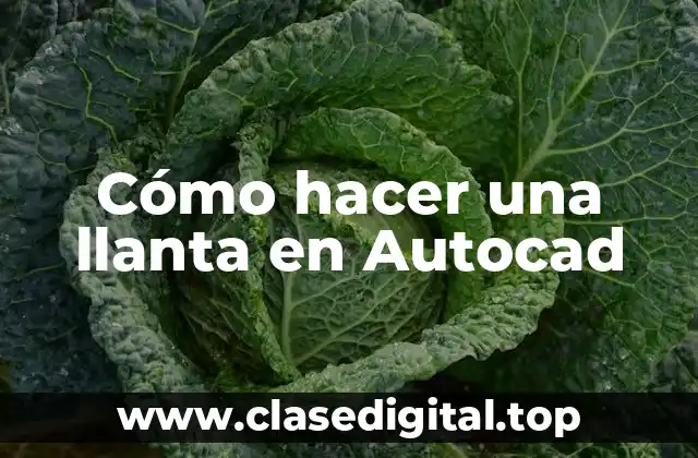 Cómo hacer una llanta en Autocad