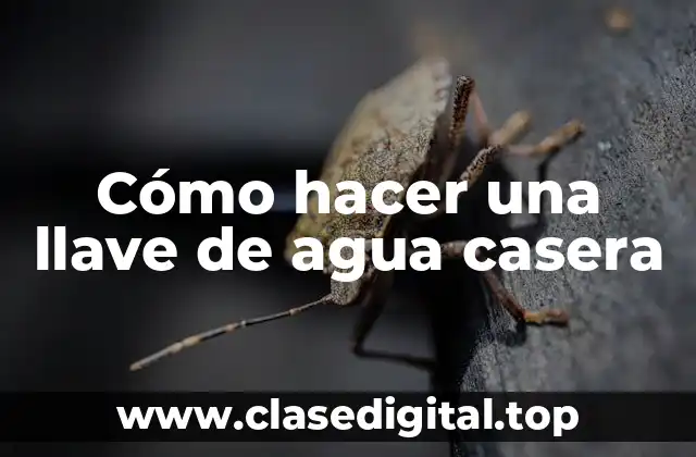 ¿Qué es una llave de agua casera y para qué sirve?
