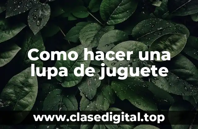 ¿Qué es una lupa de juguete y para qué sirve?