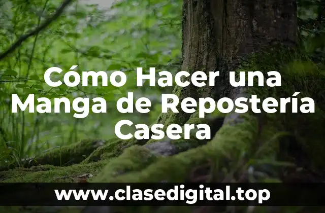 ¿Qué es una Manga de Repostería Casera?