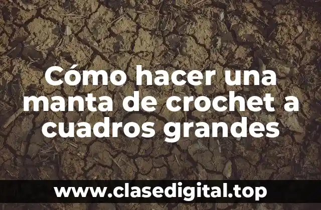 Cómo hacer una manta de crochet a cuadros grandes