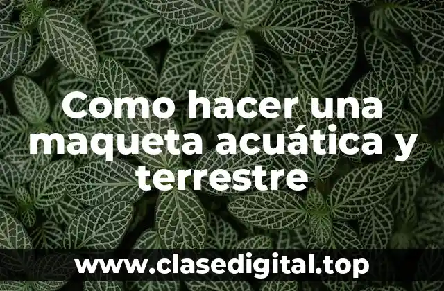 Como hacer una maqueta acuática y terrestre