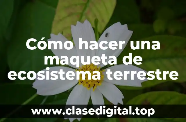 Cómo hacer una maqueta de ecosistema terrestre