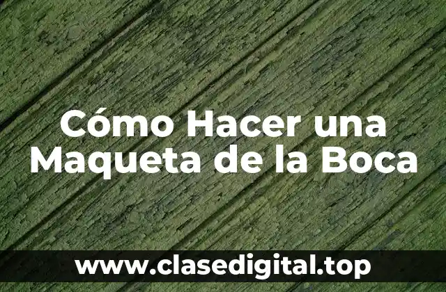 Cómo Hacer una Maqueta de la Boca
