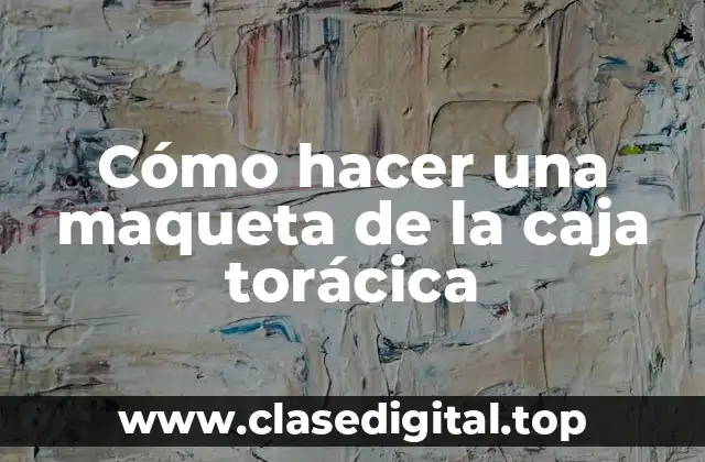 Cómo hacer una maqueta de la caja torácica