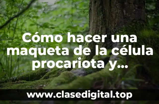Cómo hacer una maqueta de la célula procariota y eucariota