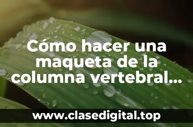 Cómo hacer una maqueta de la columna vertebral con plastilina