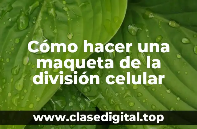La división celular