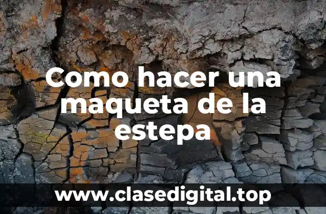 ¿Qué es una maqueta de la estepa?