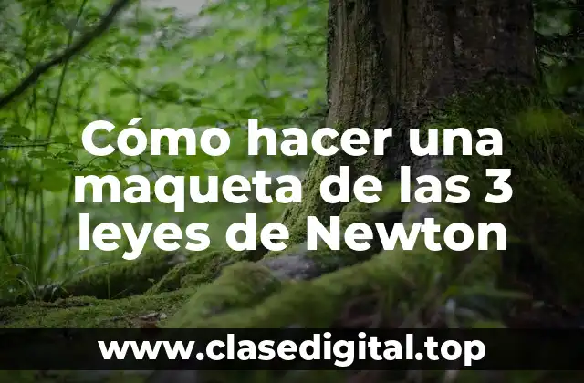 Cómo hacer una maqueta de las 3 leyes de Newton
