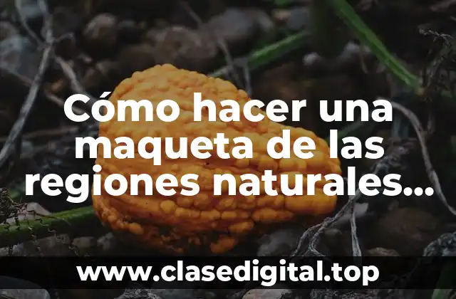 Cómo hacer una maqueta de las regiones naturales de México