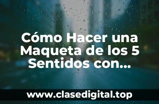 Cómo Hacer una Maqueta de los 5 Sentidos con Plastilina