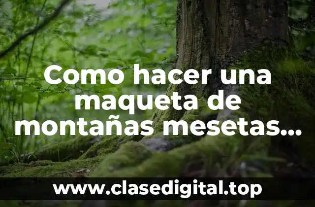 Como hacer una maqueta de montañas mesetas valles y llanuras