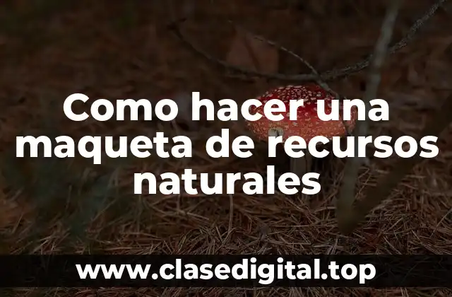 Como hacer una maqueta de recursos naturales