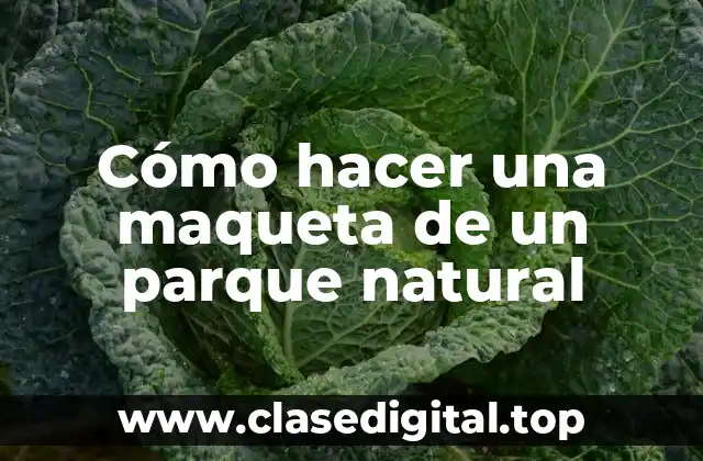 Cómo hacer una maqueta de un parque natural