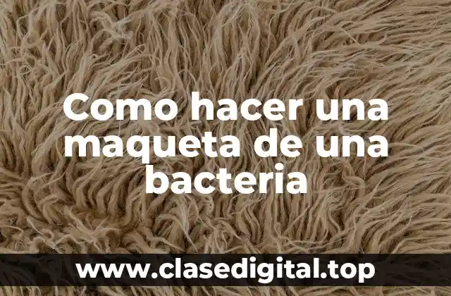 Como hacer una maqueta de una bacteria