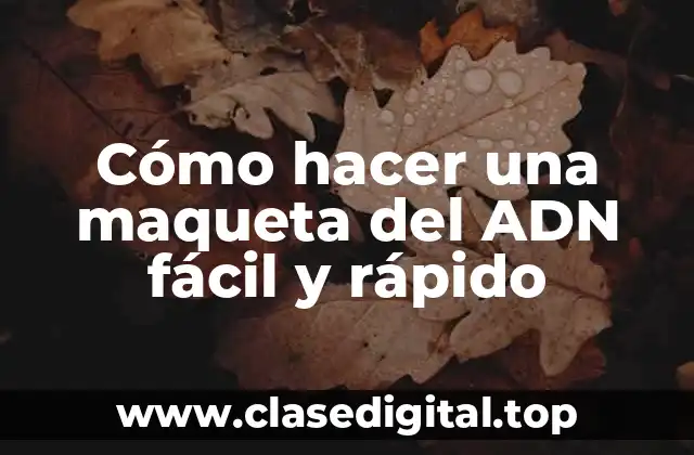 Cómo hacer una maqueta del ADN fácil y rápido