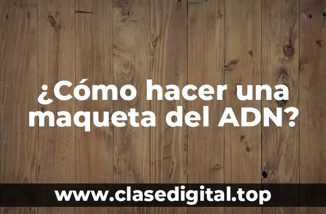 ¿Cómo hacer una maqueta del ADN?