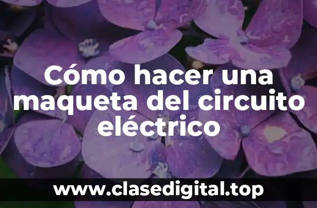 Cómo hacer una maqueta del circuito eléctrico