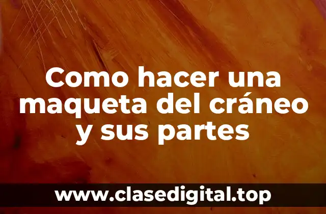 Como hacer una maqueta del cráneo y sus partes