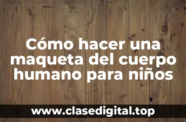 Cómo hacer una maqueta del cuerpo humano para niños
