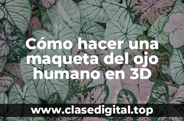 Cómo hacer una maqueta del ojo humano en 3D