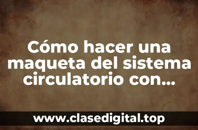 Cómo hacer una maqueta del sistema circulatorio con movimiento