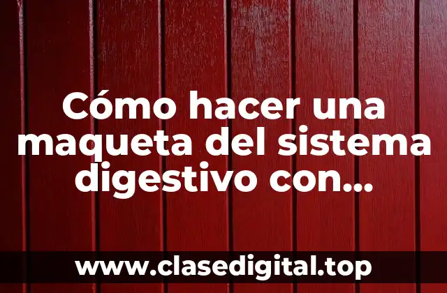 Cómo hacer una maqueta del sistema digestivo con material reciclado